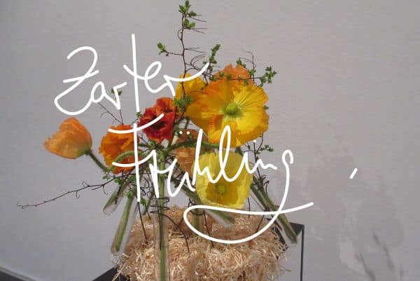 marion-like.com, zarter Frühling