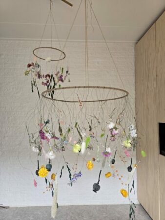 Florisel marion like flowers 