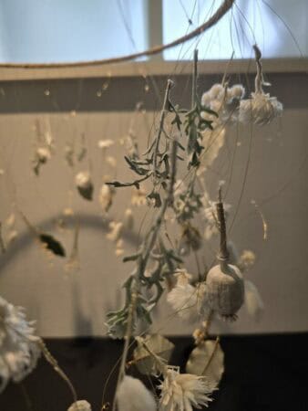 Florisel marion like flowers 